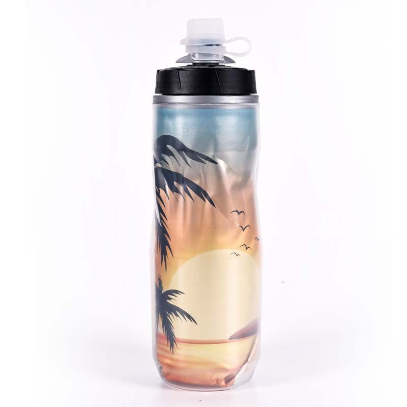 Insulated Water Bottle