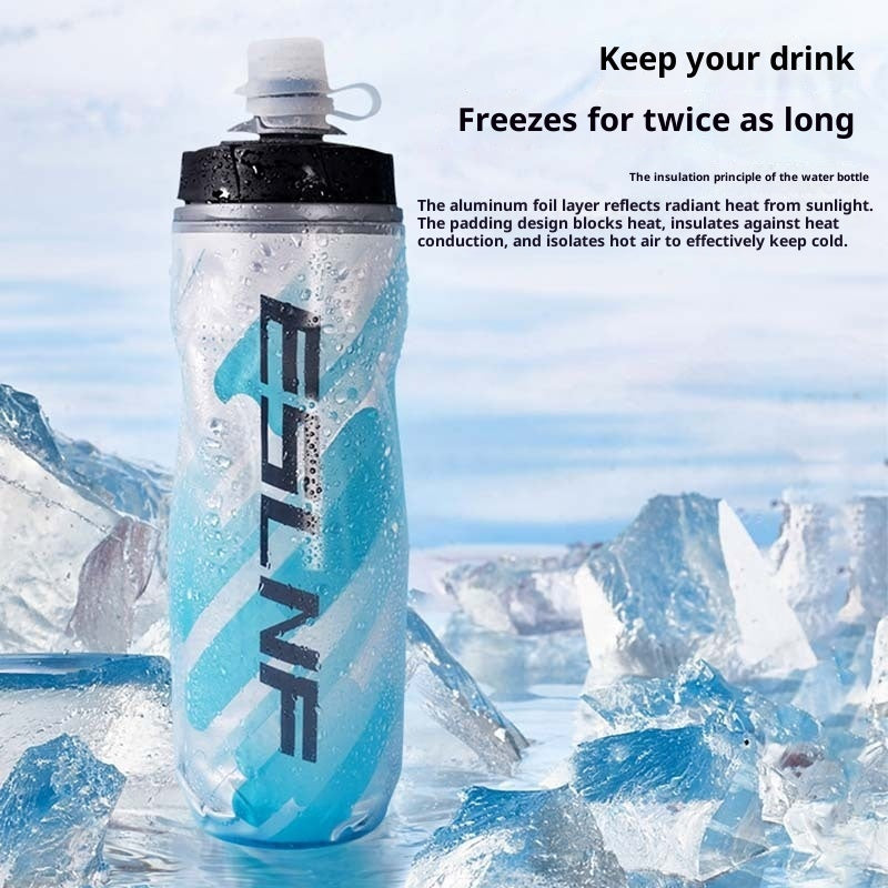 Insulated Water Bottle
