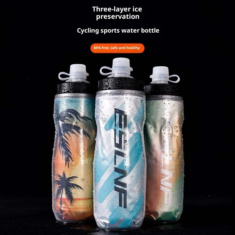 Insulated Water Bottle