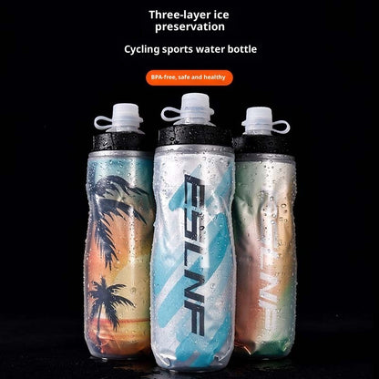 Insulated Water Bottle