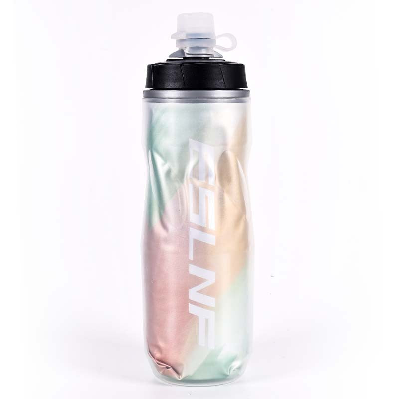 Insulated Water Bottle