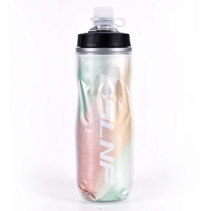 Insulated Water Bottle